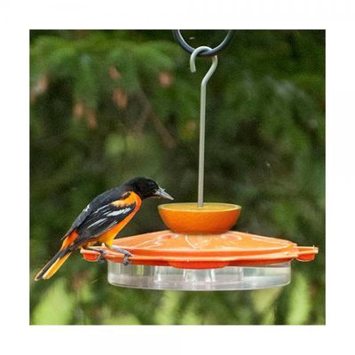 BF Oriole Classic Saucer
