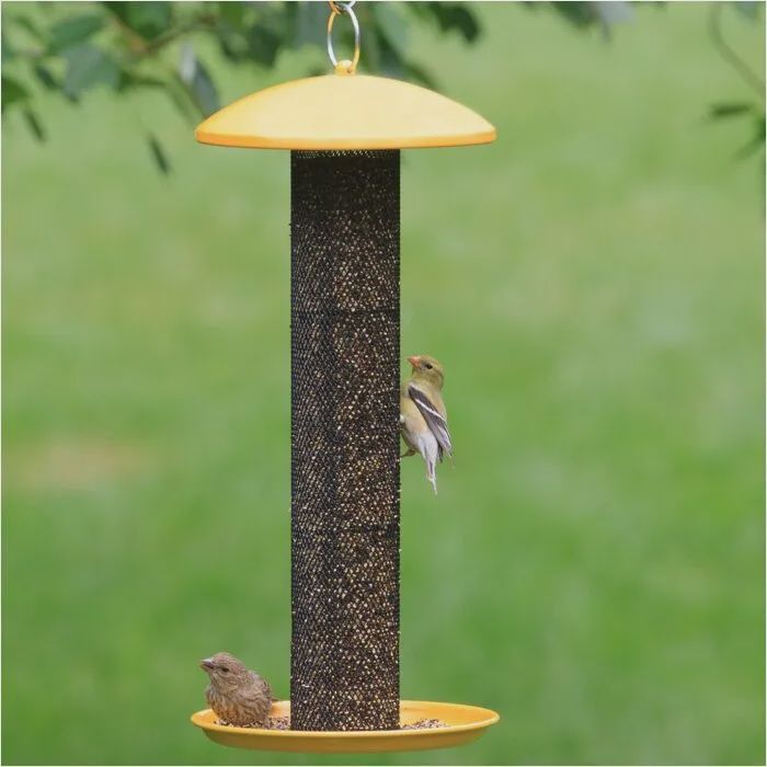 BF NoNo Finch Metal Yellow