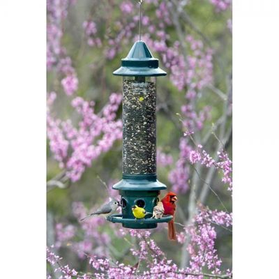 BF Squirrel Buster Plus