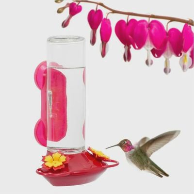 BF Perky Pet Hummer Window Feeder 8oz Plastic