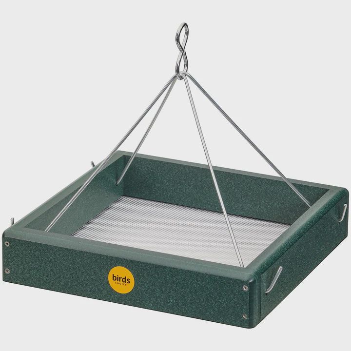 BF Platform Feeder 10x10