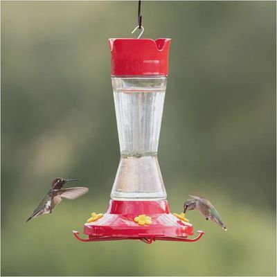 BF Perky Pet Hummers Pinch Glass 16oz