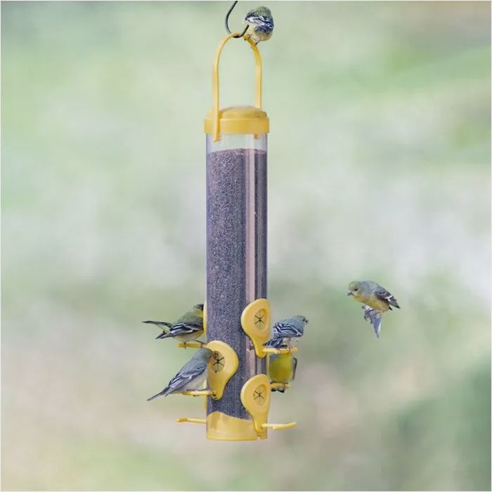 BF Plastic Finch Feeder