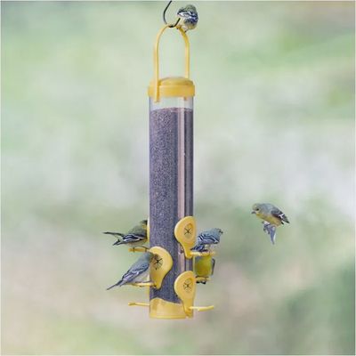 BF Plastic Finch Feeder