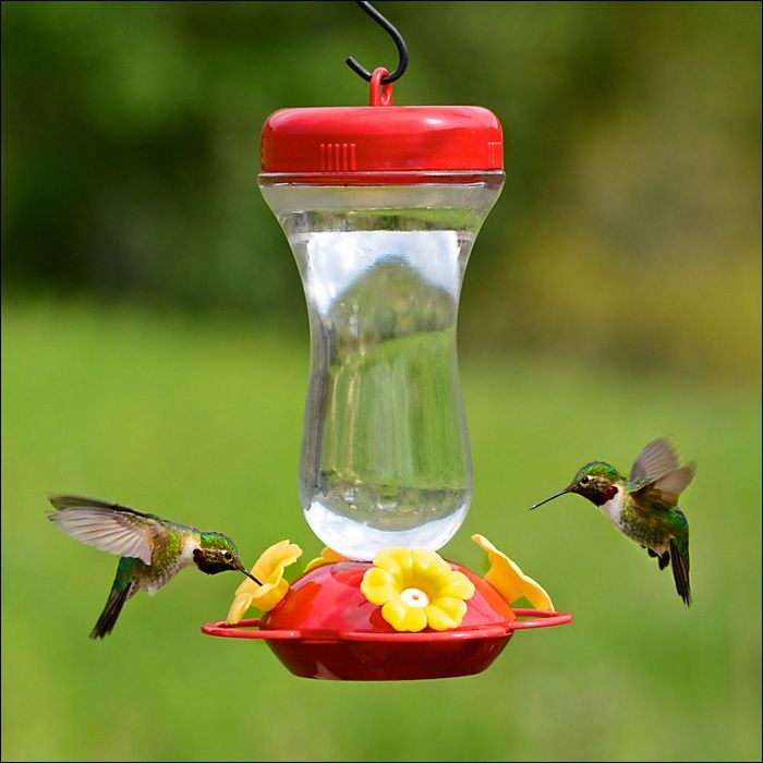 BF Perky Pet Hummers Top Fill