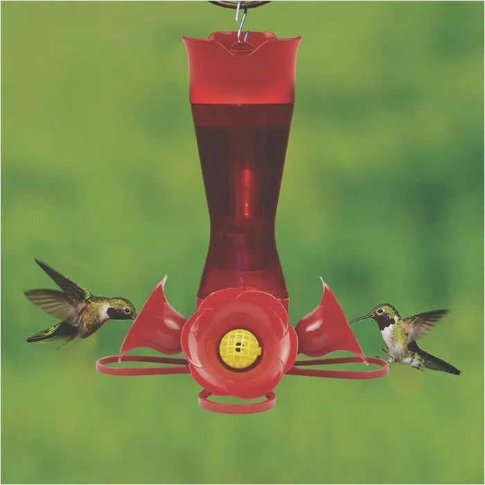 BF Perky Pet Hummers Pinch Plastic 8oz