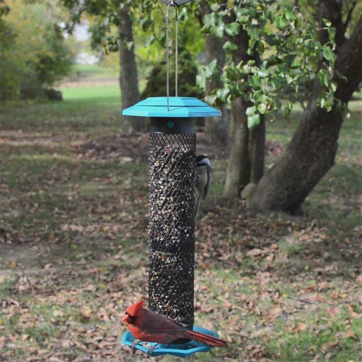BF Flip Top Funnel Sunflower