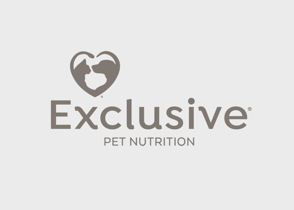 Exclusive Free Program