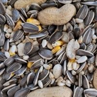 Parrot Oliger--no peppers 25lb