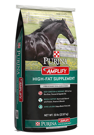 Amplify Nugget 50lb