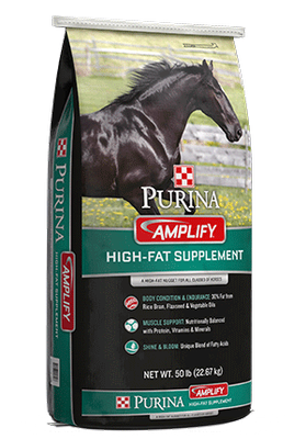 Amplify Nugget 50lb