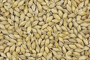 Barley, Whole 50lbs