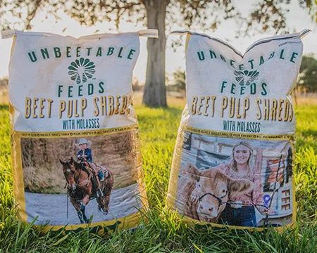 Beet Pulp Shred w/molasses 30lb