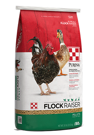 Flock Raiser Pellet Purina 50lb