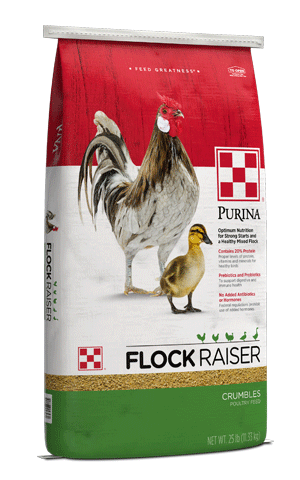 Flock Raiser Crumble Purina 50lb