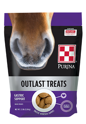 Treat Horse Outlast 3.5lb
