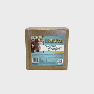Constant Comfort Block 15lb