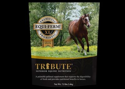 Equi-Ferm XL 7.5lb