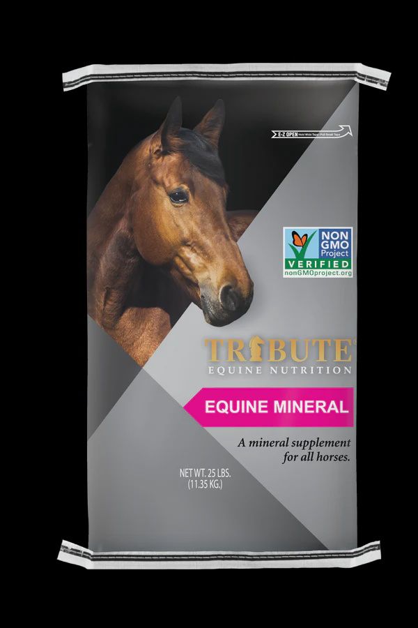 Equine 12-8 Mineral 25lb