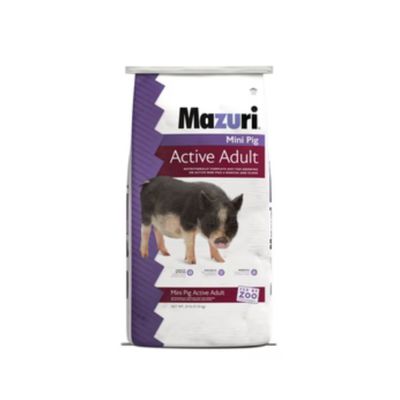 Maz Mini Pig Active Adult 25lb