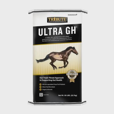 Ultra GH 50lb