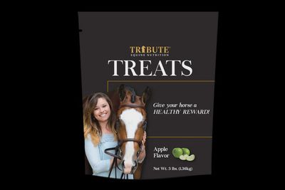 Treat Horse Apple 3lb Tribute