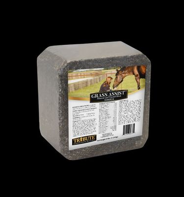 Grass Assist Block 25lb