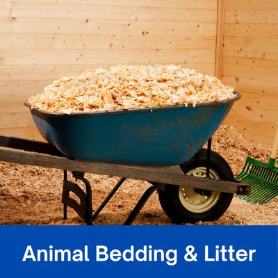 Bedding