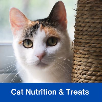 Cat Food