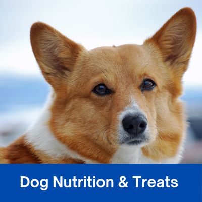 Dog Food