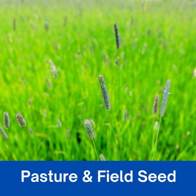 Field Seeds