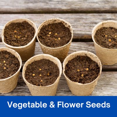 Garden Seeds