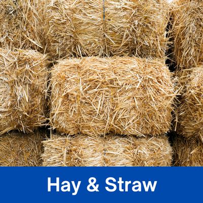 Hay Straw