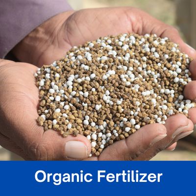 Organic Fertilizer