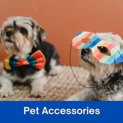 Pet Accessories