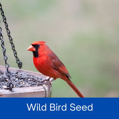 Wild Bird Seed