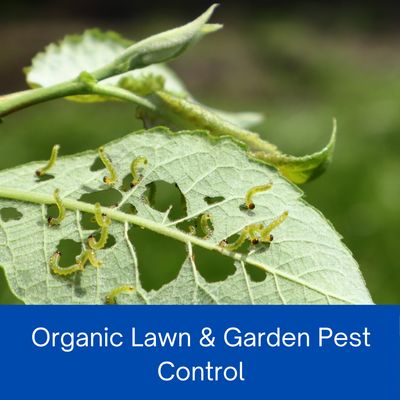 Organic Products