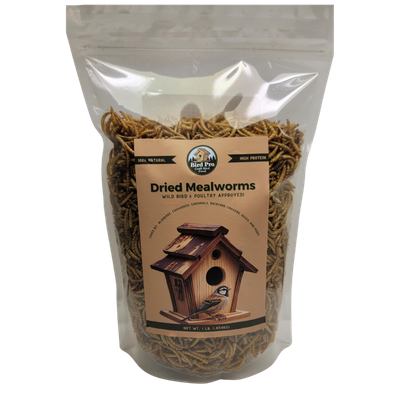 Mealworms 5lb