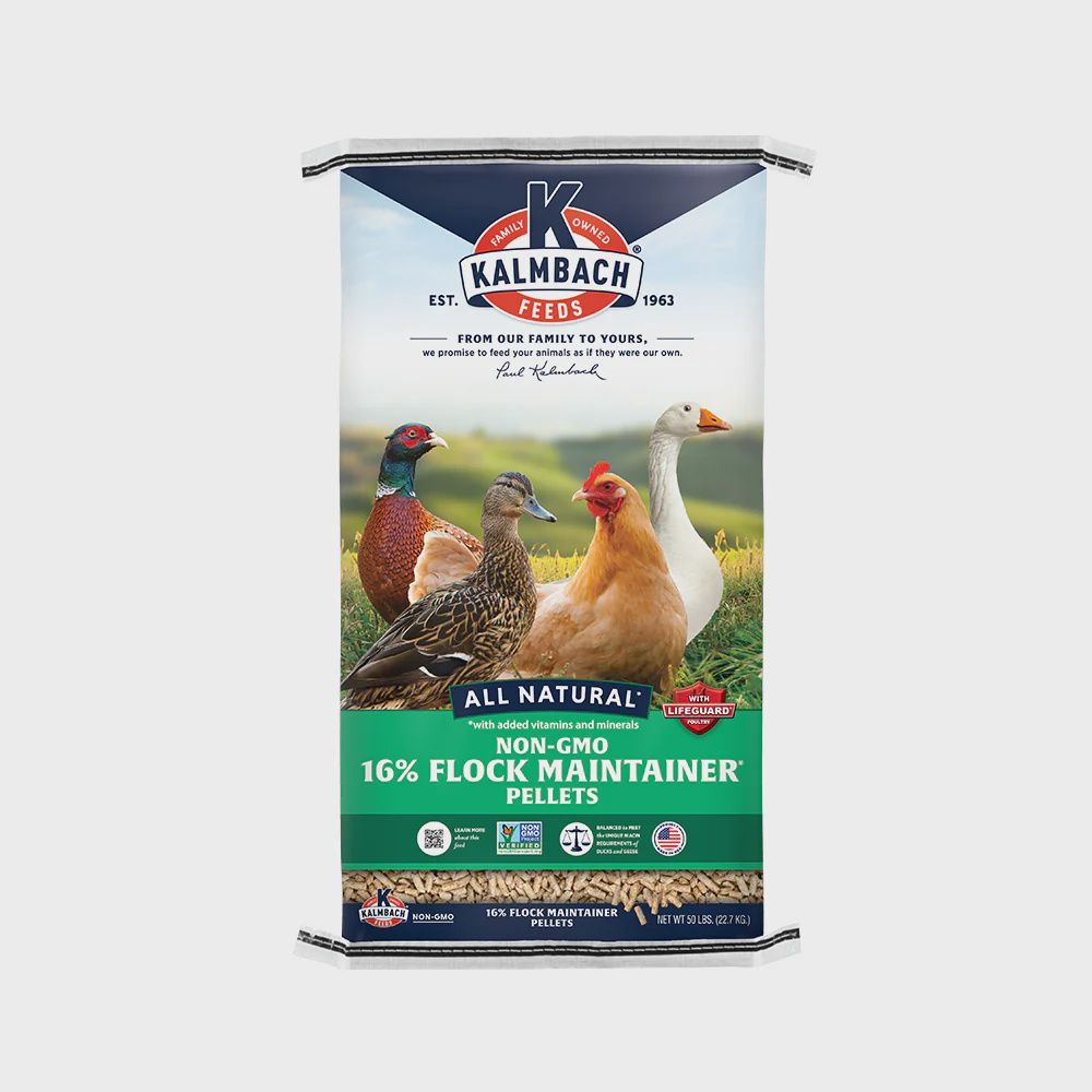 Non GMO Flock Maintainer 50lb