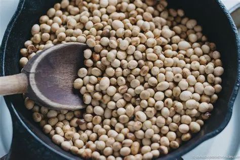 Soybeans Roasted 50lb