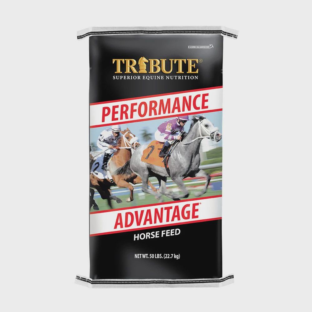 Performance Advantage