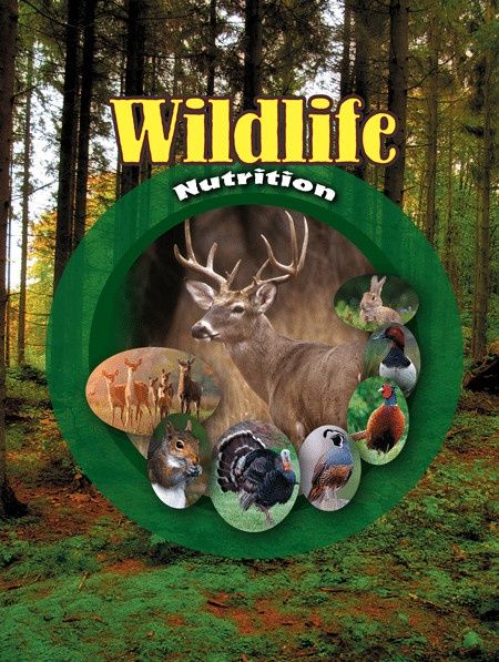 Deer Wildlife Nutrition