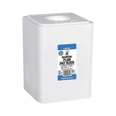 Salt Plain Block 50lb