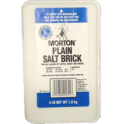 Salt Plain Brick 4lb