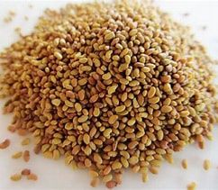 Alfalfa  Seed 1lb