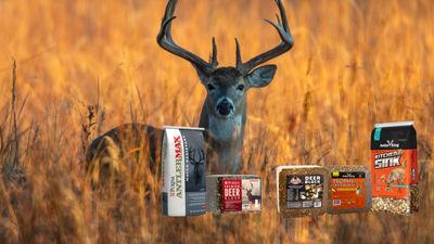 Deer Fall Feed