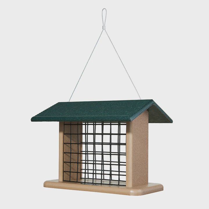BF Bkyd Seed/Suet Block