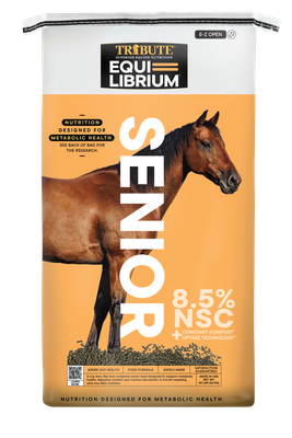 Equilbrium Senior 50lb