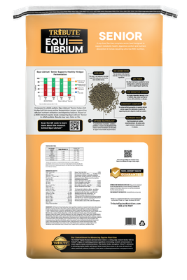 Equilbrium Senior 50lb
