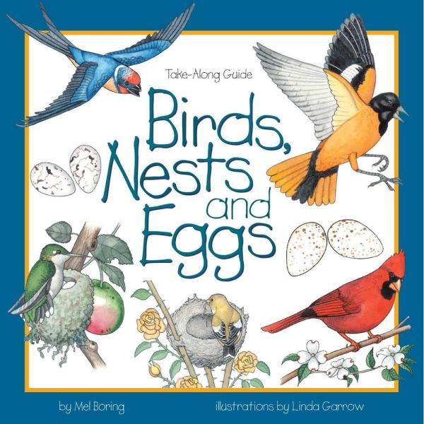 Birds, Nests, &amp; Eggs Book